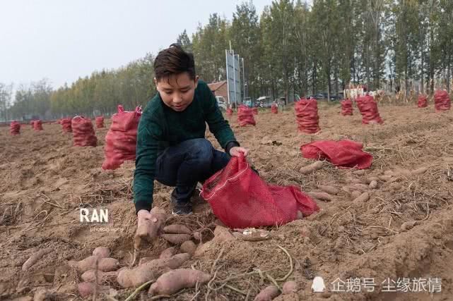 戳我试试