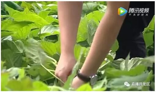 戳我试试